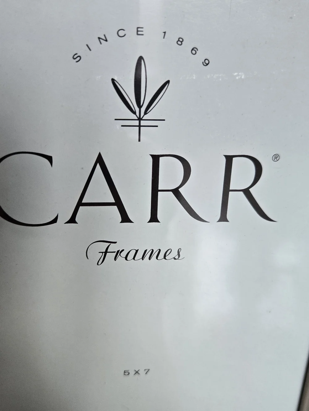 CARR Double 5x7 Picture Frame in Silver with Intrique Border Detail Vintage